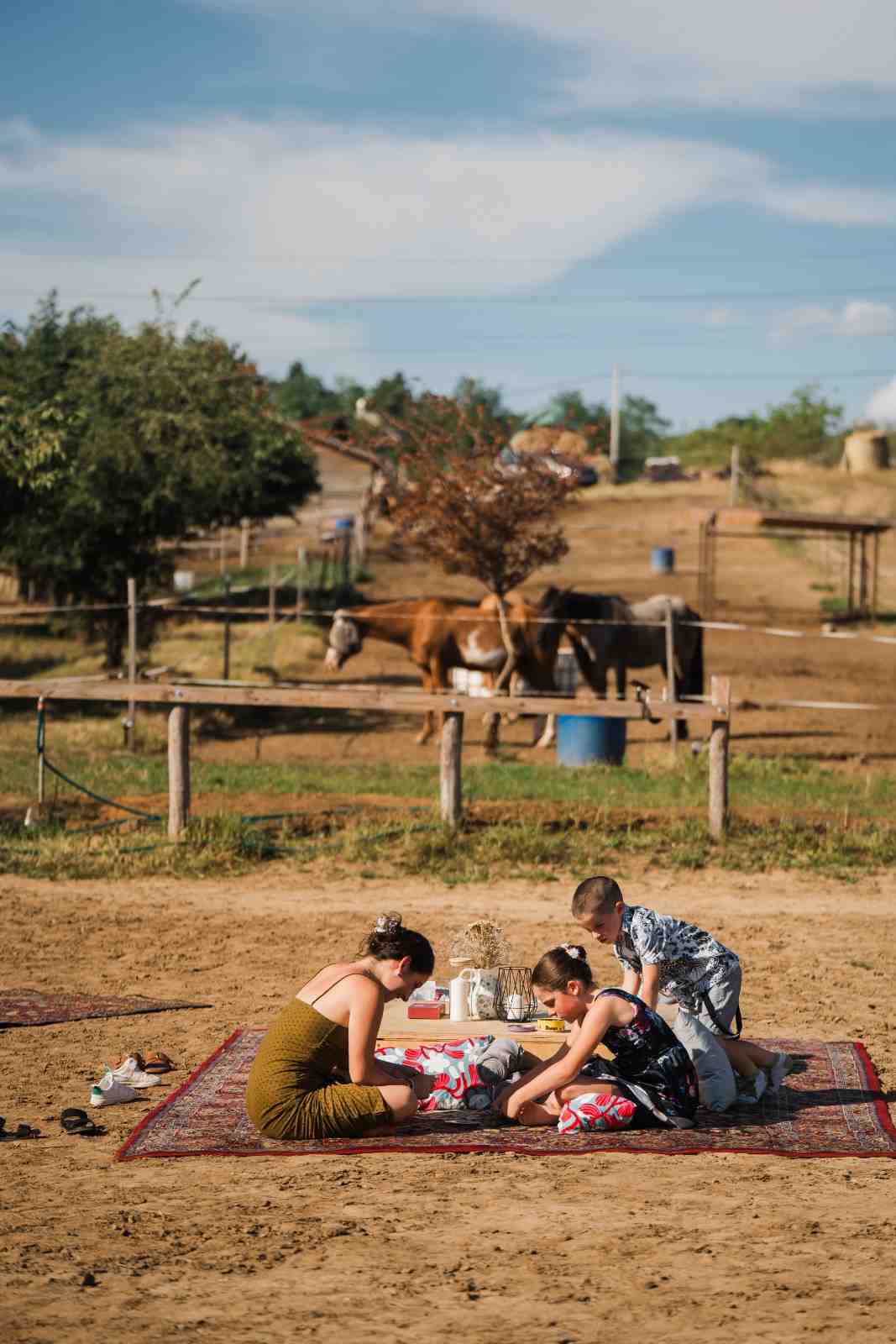 Vőlegény lóháton érkezik az erdei tisztásra